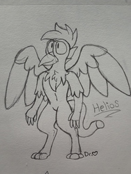 Size: 2576x1932 | Tagged: safe, artist:drheartdoodles, oc, oc:helios, griffon, anthro, chest fluff, fluffy, spread wings, standing, wheres the cock, wings