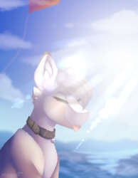 Size: 1842x2370 | Tagged: safe, artist:mauuwde, oc, oc only, oc:charlie, pony, bust, lens flare, male, ocean, portrait, solo, stallion