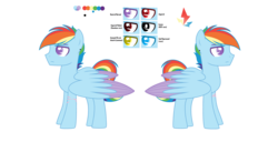 Size: 6472x3312 | Tagged: safe, artist:dashblitzfan4ever, rainbow dash, pegasus, pony, g4, male, rainbow blitz, reference sheet, rule 63, simple background, solo, stallion, transparent background