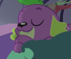 Size: 573x473 | Tagged: safe, screencap, spike, spike the regular dog, dog, equestria girls, g4, my little pony equestria girls: legend of everfree, cropped, eyes closed, male, sleeping, smiling, solo