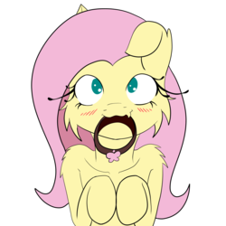Size: 3000x3000 | Tagged: safe, artist:fajnyziomal, fluttershy, pegasus, pony, semi-anthro, g4, arm hooves, blushing, cheek fluff, collar, cute, female, femsub, flutterpet, fluttersub, high res, misleading thumbnail, mouth hold, simple background, solo, submissive, transparent background