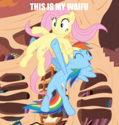Size: 728x760 | Tagged: safe, edit, edited screencap, screencap, fluttershy, rainbow dash, pegasus, pony, g4, magic duel, book, caption, cropped, duo, eyes closed, female, flying, golden oaks library, holding a pony, image macro, impact font, ladder, lesbian, ship:flutterdash, shipping, shipping war in the comments, smiling, text, waifu