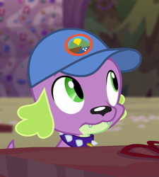 Size: 522x581 | Tagged: safe, screencap, spike, spike the regular dog, dog, equestria girls, g4, my little pony equestria girls: legend of everfree, camp everfree logo, cap, collar, cropped, hat, male, spike's dog collar