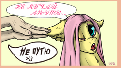 Size: 3840x2160 | Tagged: safe, artist:danton-y17, fluttershy, human, pony, g4, adorable distress, cute, cyrillic, duo, ear fluff, ear grab, female, high res, mare, one eye closed, russian, translated in the description