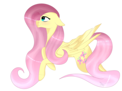 Size: 1990x1492 | Tagged: safe, artist:meatballsmom19, fluttershy, pegasus, pony, g4, cutie mark, female, floppy ears, mare, profile, simple background, smiling, solo, transparent background