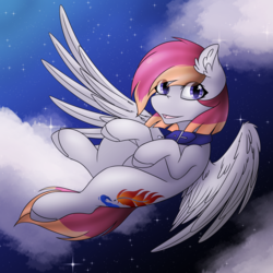 Size: 2000x2000 | Tagged: safe, artist:acidthead, oc, oc only, oc:arian blaze, pegasus, pony, cloud, collar, flying, high res, looking at you, night, sky, smiling, solo, stars