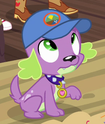 Size: 272x319 | Tagged: safe, screencap, spike, spike the regular dog, dog, equestria girls, g4, my little pony equestria girls: legend of everfree, camp everfree logo, cap, collar, cropped, hat, male, offscreen character, paws, solo, spike's dog collar, tail
