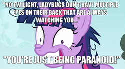 Size: 1276x706 | Tagged: safe, edit, edited screencap, screencap, twilight sparkle, pony, g4, interseason shorts, lesson zero, my little pony: friendship is magic, starlight the hypnotist, caption, female, freeman's mind, image macro, solo, text, twilight hates ladybugs, twilight snapple