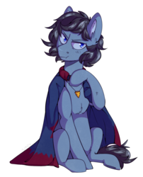 Size: 915x1134 | Tagged: safe, artist:cinnamonsparx, oc, oc only, oc:vidapony, earth pony, pony, cloak, clothes, male, simple background, solo, stallion, transparent background