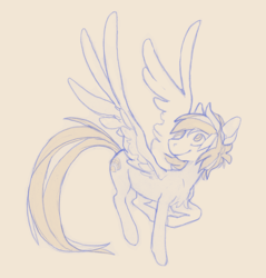 Size: 704x736 | Tagged: safe, artist:dreamyri, pegasus, pony, chest fluff, looking up, simple background, sketch, smiling, solo, spread wings, turned head, wings