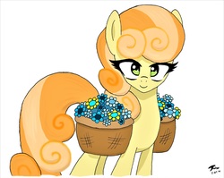 Size: 3392x2704 | Tagged: safe, artist:radiancebreaker, junebug, pony, g4, basket, female, flower, high res, looking at you, signature, simple background, solo, white background