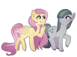 Size: 3300x2462 | Tagged: safe, artist:emera33, fluttershy, marble pie, earth pony, pegasus, pony, g4, cute, female, high res, looking at each other, marblebetes, mare, shyabetes, simple background, smiling