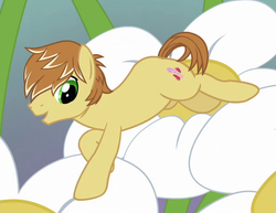 Size: 612x472 | Tagged: safe, screencap, feather bangs, earth pony, pony, g4, hard to say anything, cropped, cutie mark, male, stallion