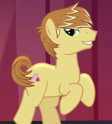 Size: 650x720 | Tagged: safe, screencap, feather bangs, earth pony, pony, g4, hard to say anything, bipedal, cropped, cutie mark, majestic, male, rearing, smiling, stallion