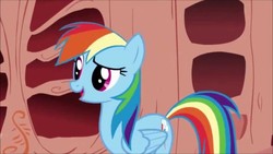 Size: 1280x720 | Tagged: safe, screencap, rainbow dash, pony, g4, sonic rainboom (episode), female, golden oaks library, mare, raised eyebrow, solo