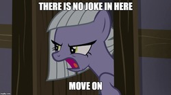 Size: 888x499 | Tagged: safe, edit, edited screencap, screencap, limestone pie, pony, g4, hearthbreakers, caption, female, image macro, impact font, limestone pie is not amused, mare, reaction image, text