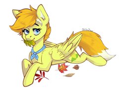 Size: 1668x1239 | Tagged: safe, artist:chibadeer, oc, oc only, pegasus, pony, autumn leaves, leaves, looking at you, lying down, mouth hold, neckerchief, pose, signature, simple background, solo, white background