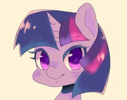 Size: 1140x897 | Tagged: safe, artist:koto, twilight sparkle, pony, g4, bust, female, looking at you, mare, simple background, smiling, solo