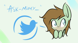 Size: 2115x1155 | Tagged: safe, artist:lofis, oc, oc only, oc:mint chocolate, pony, announcement, blushing, female, hooves, mare, meta, solo, twitter, twitter link