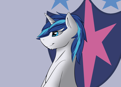 Size: 2500x1800 | Tagged: safe, artist:snowstormbat, shining armor, pony, unicorn, g4, chin fluff, cutie mark, looking offscreen, male, simple background, smiling, solo, stallion
