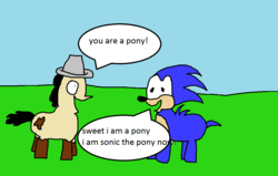 Size: 1100x700 | Tagged: safe, artist:mudlove2, oc, oc:mudlove, pony, 1000 hours in ms paint, dialogue, male, ponified, sonic the hedgehog, sonic the hedgehog (series), speech bubble