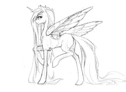 Size: 738x542 | Tagged: safe, artist:madhotaru, princess celestia, alicorn, pony, g4, female, grayscale, looking at you, looking back, looking back at you, mare, missing accessory, missing cutie mark, monochrome, raised hoof, simple background, slender, solo, standing on two hooves, tall, thin, white background
