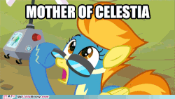 Size: 500x281 | Tagged: safe, edit, edited screencap, screencap, spitfire, pony, g4, hurricane fluttershy, animated, caption, clothes, female, gif, gif with captions, goggles, image macro, meme, mother of celestia, mother of god, solo, text, uniform, watermark, wonderbolts uniform