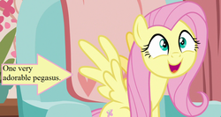 Size: 960x512 | Tagged: safe, edit, edited screencap, editor:korora, screencap, fluttershy, discordant harmony, g4, arrow, captain obvious, cropped, cute, excited, meme, shyabetes, text, truth