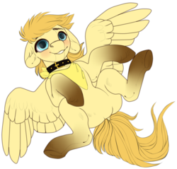 Size: 1025x981 | Tagged: safe, artist:sturpunshie, oc, oc only, oc:aurryhollows, pony, collar, cute, lying down, male, solo, stallion, wings