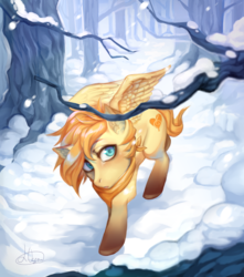 Size: 1059x1199 | Tagged: safe, artist:likeocean, oc, oc only, oc:aurryhollows, pegasus, pony, collar, cute, day, forest, looking up, male, pegasus oc, snow, snowfall, solo, stallion, tree, tree branch, wings