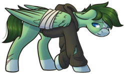 Size: 889x528 | Tagged: safe, artist:ak4neh, oc, oc only, oc:green, pegasus, pony, bald face, bandage, bandaged wing, blaze (coat marking), clothes, coat markings, facial markings, floppy ears, looking at you, male, simple background, socks (coat markings), solo, stallion, torn clothes, transparent background, wings