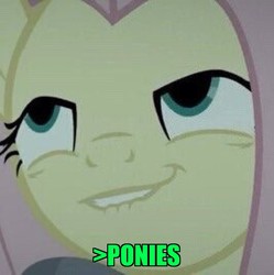 Size: 801x804 | Tagged: safe, edit, edited screencap, screencap, fluttershy, pony, g4, scare master, 1000 years in photoshop, brony, caption, cropped, faic, greentext, image macro, impact font, in-universe pegasister, lidded eyes, lip bite, meme, mfw, so much pony, text, zoomed in