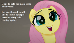 Size: 864x512 | Tagged: safe, edit, edited screencap, editor:korora, screencap, fluttershy, pony, g4, my little pony: the movie, bronybait, cropped, cute, dialogue, female, meme, shyabetes, smiling, solo