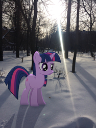 Size: 2448x3264 | Tagged: safe, artist:albertuha, twilight sparkle, pony, unicorn, g4, female, frown, high res, irl, mare, photo, ponies in real life, snow, solo, unicorn twilight, winter