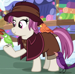 Size: 510x505 | Tagged: safe, screencap, constance, heartfelt song, bird, earth pony, pony, g4, my little pony best gift ever, background pony, female, home alone, home alone 2: lost in new york, mare, pigeon lady