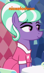 Size: 640x1055 | Tagged: safe, screencap, stepford ponies, earth pony, pony, g4, what lies beneath, female, mare, nickelodeon, solo