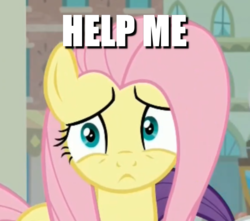 Size: 758x669 | Tagged: safe, screencap, fluttershy, pony, fake it 'til you make it, g4, caption, help me, image macro, meme, text