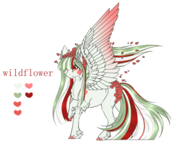 Size: 1012x826 | Tagged: safe, artist:luuny-luna, oc, oc only, oc:wildflower, pegasus, pony, female, mare, reference sheet, simple background, solo, transparent background