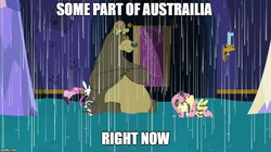 Size: 888x499 | Tagged: safe, edit, edited screencap, screencap, angel bunny, fluttershy, harry, bear, centipede, flamingo, raccoon, rat, spider, tortoise, every little thing she does, g4, australia, caption, fiducia compellia, flood, image macro, impact font, meme, mind control, rain, right now, text