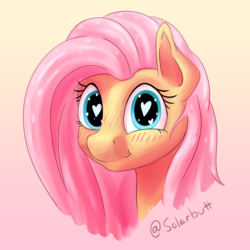 Size: 2640x2640 | Tagged: safe, artist:solarbutt, fluttershy, pegasus, pony, g4, blushing, bust, cute, female, gradient background, heart eyes, high res, looking at you, mare, portrait, shyabetes, smiling, solo, three quarter view, wingding eyes