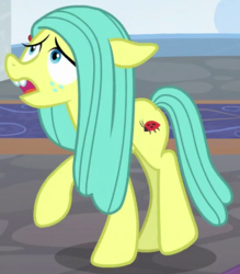 Size: 445x508 | Tagged: safe, screencap, ocellus, earth pony, pony, g4, school daze, disguise, disguised changeling, female, pony ocellus, solo