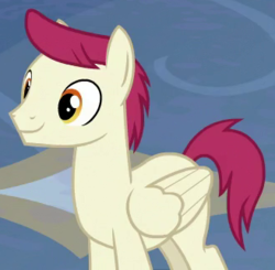 Size: 328x322 | Tagged: safe, screencap, sugar maple, pegasus, pony, g4, school daze, background pony, cropped, friendship student, male, ruffled pages, solo, stallion
