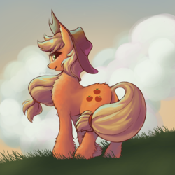 Size: 3000x3000 | Tagged: safe, artist:taytinabelle, derpibooru exclusive, applejack, earth pony, pony, g4, cute, cutie mark, female, fluffy, freckles, grass, grass field, high res, jackabetes, looking at you, mare, solo, unshorn fetlocks, windswept mane
