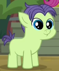 Size: 385x460 | Tagged: safe, screencap, cucumber seed, scootaloo, pony, g4, marks and recreation, colt, foal, male, solo