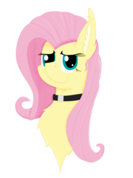 Size: 1936x2592 | Tagged: safe, artist:randomelight, fluttershy, oc, oc:flutterpriest, pegasus, pony, g4, bust, chest fluff, choker, chokershy, female, looking at you, mare, simple background, transparent background