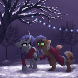 Size: 1500x1500 | Tagged: safe, artist:kittyx-galaxy, capper dapperpaws, rarity, abyssinian, pony, unicorn, g4, capperity, clothes, curved horn, ear fluff, female, horn, lidded eyes, looking at each other, male, night, open mouth, shipping, snow, straight, string lights, winter