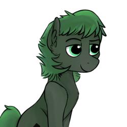 Size: 1024x1024 | Tagged: safe, artist:vee ness, oc, oc only, oc:minus, earth pony, pony, dreamworks face, green eyes, male, redraw, simple background, solo, stallion, transparent background