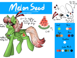 Size: 2048x1536 | Tagged: safe, artist:melonseed11, oc, oc only, oc:melon seed, pegasus, pony, female, mare, reference sheet, solo