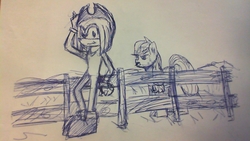 Size: 1280x720 | Tagged: safe, artist:taika403, applejack, earth pony, pony, g4, applejack's hat, clothes swap, cowboy hat, crossover, duo, fence, hat, hedge, knuckles the echidna, male, sonic the hedgehog, sonic the hedgehog (series), traditional art