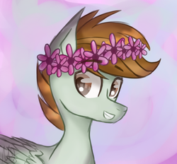 Size: 800x742 | Tagged: safe, artist:misskitkat2002, oc, oc only, oc:free fall, pegasus, pony, floral head wreath, flower, male, solo, stallion